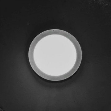 Дмитрий Богатов