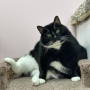 Лариса Ивановна