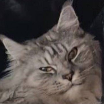 Александра И