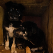 Марс и Маша