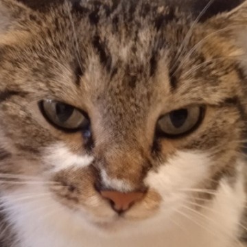 Олеся Вячеславовна