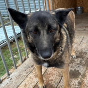 Вита и Мотя