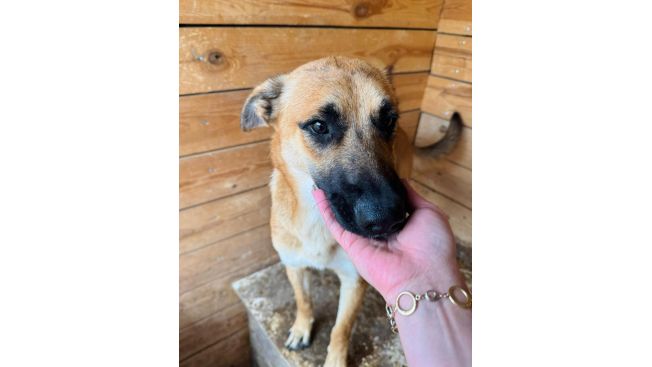 Гита и Зита