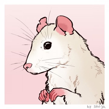 Анастасия Лебедь