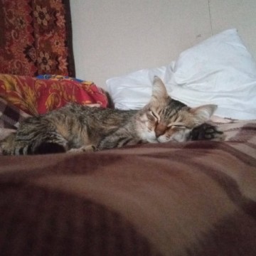 Иван Воробьев