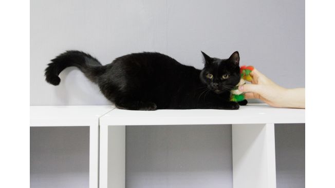 Соня Егорова