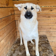 Гита и Зита