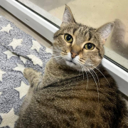 Плюшка и Ватрушка