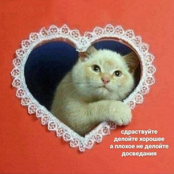 Кристина Уразбахтина