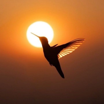 Евгения Азарова