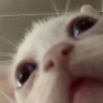 Маша Ястремская